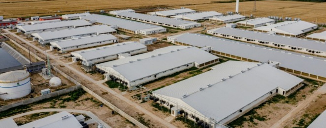 Australian Animal Husbandry Base 20000㎡ in 2018