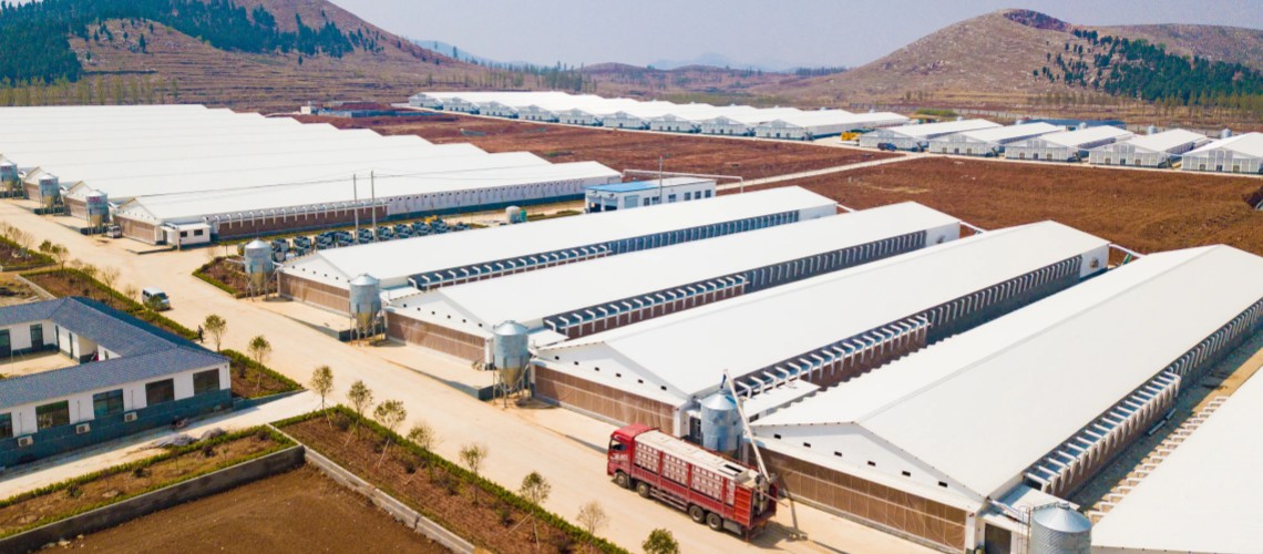 Kenya Farm 30000 m2 2016