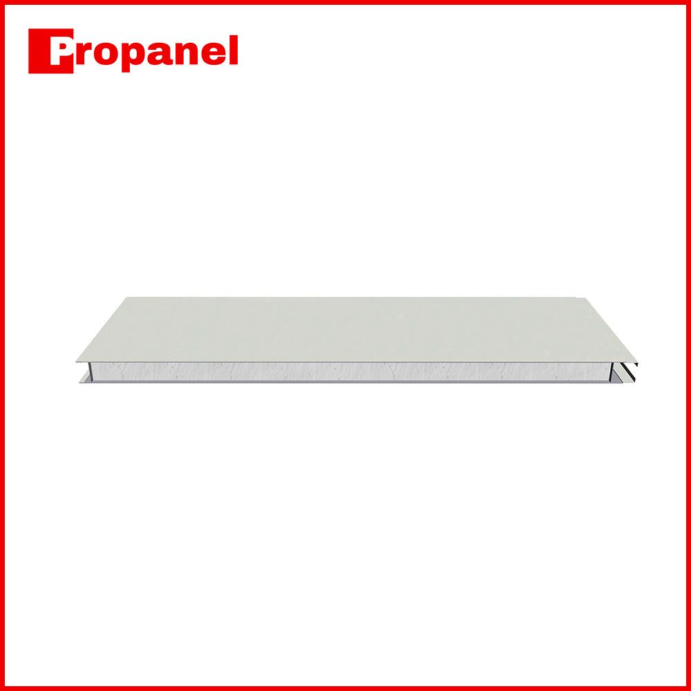 Wall EPS sandwich panel Sample