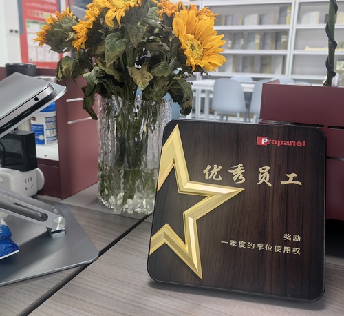 Mia won Propanel's quarterly sales championship